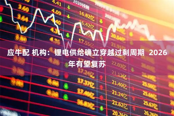 应牛配 机构：锂电供给确立穿越过剩周期  2026年有望复苏