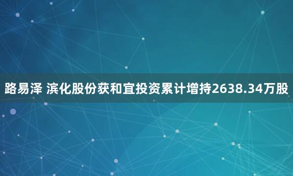 路易泽 滨化股份获和宜投资累计增持2638.34万股